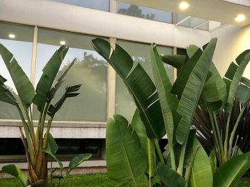 CASA VENTA  PILAR MAYLING  CONSULTAR VALOR