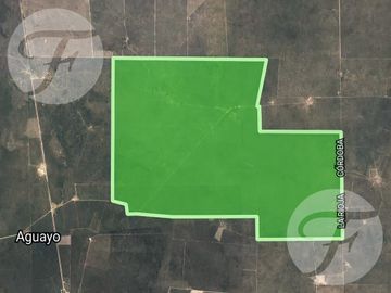 La Rioja (Aguayo) I Campo Mixto 5139 ha