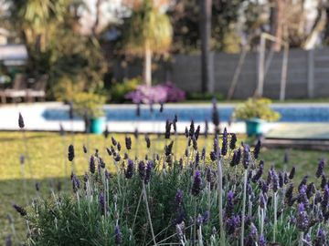 Quinta - Ezeiza