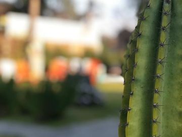 Quinta - Ezeiza