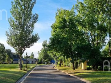 Lote en venta en Quintas del Sol