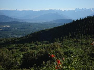 Chacra - Mallin Ahogado