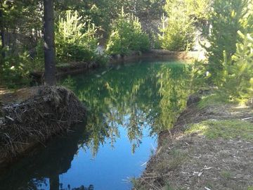 Chacra - Mallin Ahogado