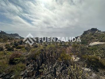 Sitio en Venta en Puntilla la Herradura