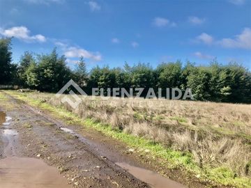 Sitio en Venta en Camino interior Aurora / Cercano Viña Terra Noble