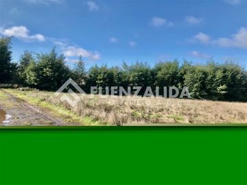 Sitio en Venta en Camino interior Aurora / Cercano Viña Terra Noble