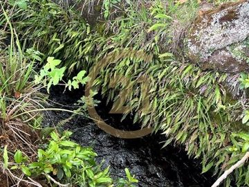 Parcelas con agua y energía eléctrica en condomino