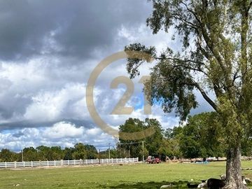 Parcelas con agua y energía eléctrica en condomino