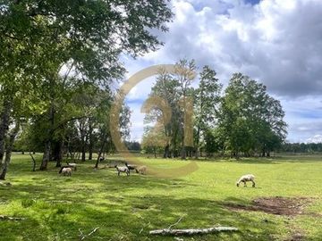 Parcelas con agua y energía eléctrica en condomino