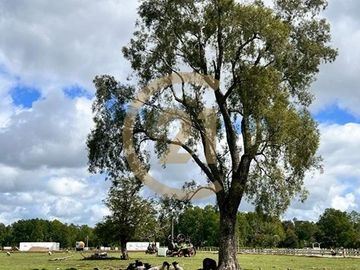 Parcelas con agua y energía eléctrica en condomino