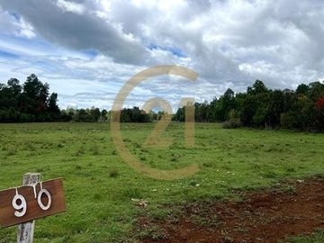 Parcelas con agua y energía eléctrica en condomino