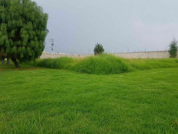 TERRENO EN VENTA CALIMAYA