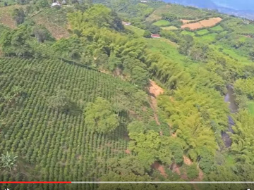 VENTA FINCA EL CAIMO