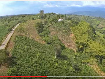 VENTA FINCA EL CAIMO