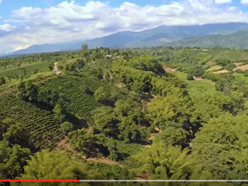 VENTA FINCA EL CAIMO
