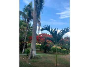 VENDO HERMOSA FINCA  ANAPOIMA VEREDA LAS MERCEDES SM 8253710
