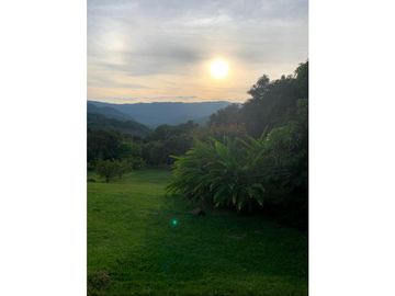 VENDO HERMOSA FINCA  ANAPOIMA VEREDA LAS MERCEDES SM 8253710