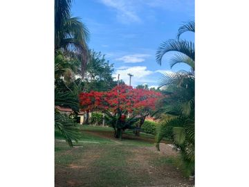 VENDO HERMOSA FINCA  ANAPOIMA VEREDA LAS MERCEDES SM 8253710
