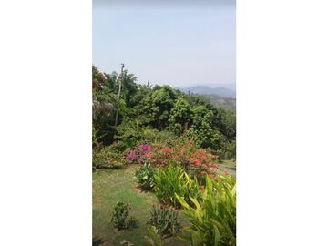 VENDO HERMOSA FINCA  ANAPOIMA VEREDA LAS MERCEDES SM 8253710