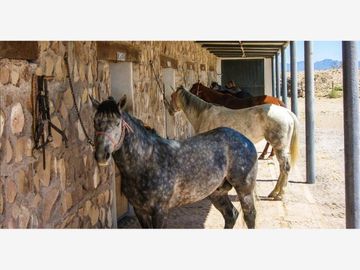 Hotel en venta en General Cepeda, General Cepeda, Coahuila de Zaragoza