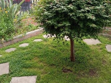 Vendo casa a pasos Inacap y UCM