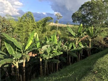 VENTA CASA CAMPESTRE CJTO CERRADO VIA MONTENEGRO QUINDIO