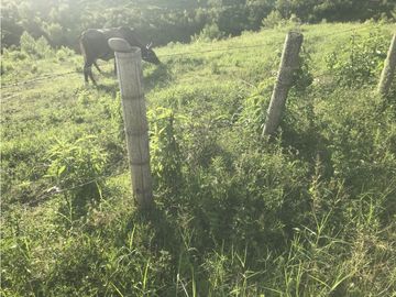 VENTA CASA CAMPESTRE CJTO CERRADO VIA MONTENEGRO QUINDIO