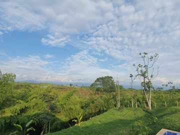 VENTA CASA CAMPESTRE CJTO CERRADO VIA MONTENEGRO QUINDIO