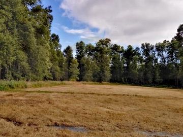 Parcelas en venta Villarrica y alrededores