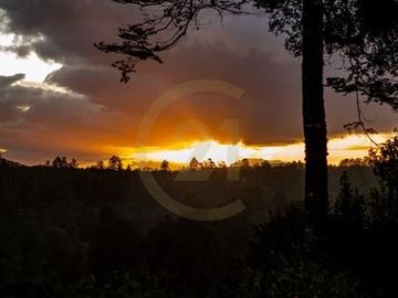 Parcelas en venta Villarrica y alrededores
