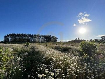 Parcelas en venta Villarrica y alrededores