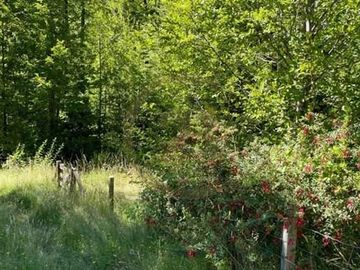 Parcelas en venta Villarrica y alrededores