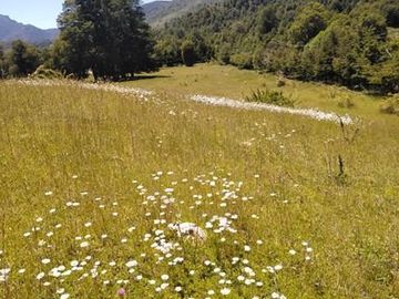 Parcelas en venta Villarrica y alrededores