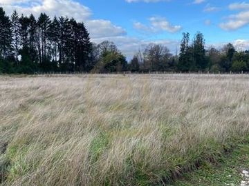 Parcelas en venta Villarrica y alrededores