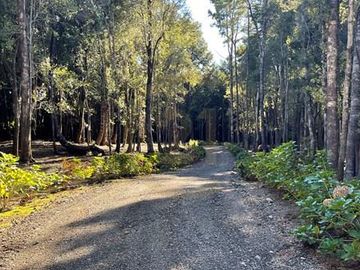 Parcelas en venta Villarrica y alrededores