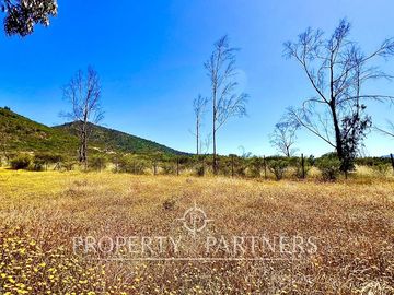 Hermosa Casa de Campo en Parcela de 1 Ha. en La Foresta de Zapallar