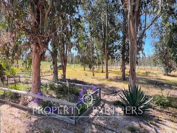 Hermosa Casa de Campo en Parcela de 1 Ha. en La Foresta de Zapallar