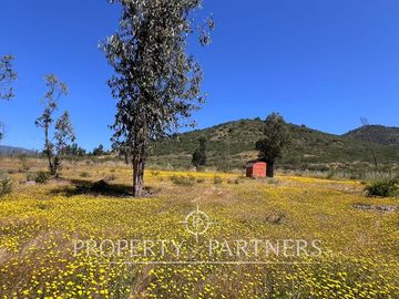 Hermosa Casa de Campo en Parcela de 1 Ha. en La Foresta de Zapallar