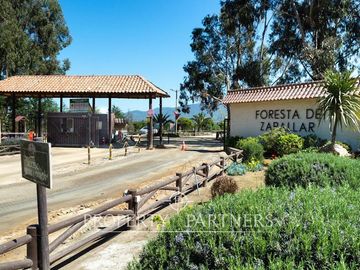 Hermosa Casa de Campo en Parcela de 1 Ha. en La Foresta de Zapallar