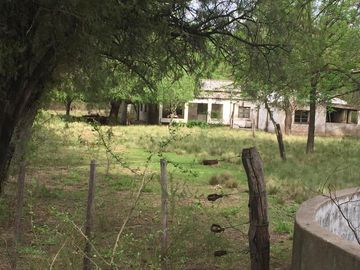 Campo - San Javier