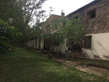 Campo - San Javier