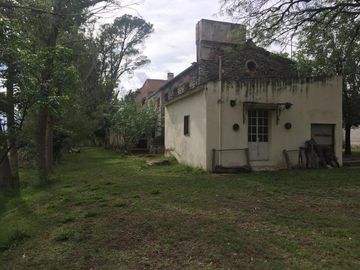 Campo - San Javier