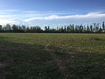 Campo - San Javier