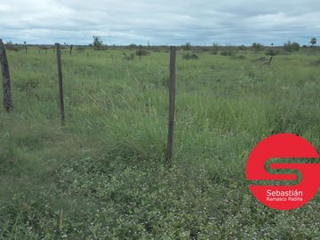 Campo venta en Santa Lucia Norte Santa Fe Distrito Gato Colorado