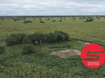 Campo venta en Santa Lucia Norte Santa Fe Distrito Gato Colorado