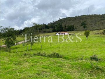 VENTA DE FINCA EN VILLA DE LEYVA, 11,5 HECTARIAS POR $1.500'000.000