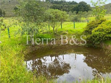 VENTA DE FINCA EN VILLA DE LEYVA, 11,5 HECTARIAS POR $1.500'000.000