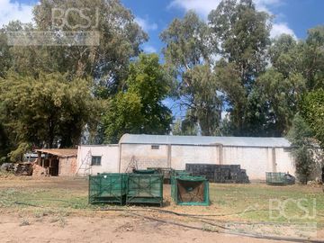 Finca en  9 de Julio