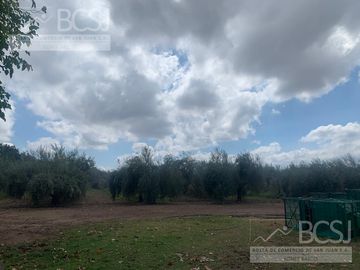 Finca en  9 de Julio