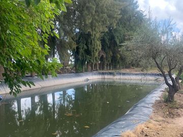 Finca en  9 de Julio